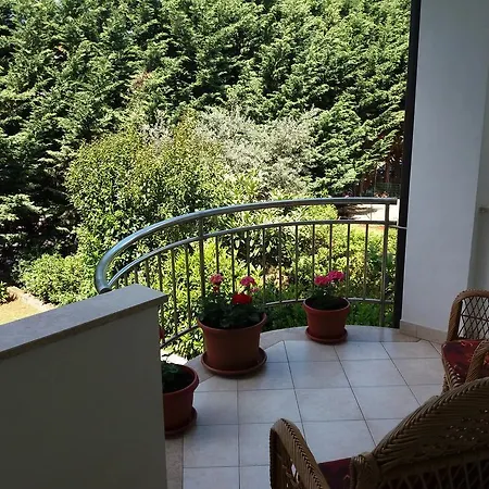 Apartment Lucic Porec Exterior photo